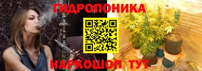 дмт Севастополь
