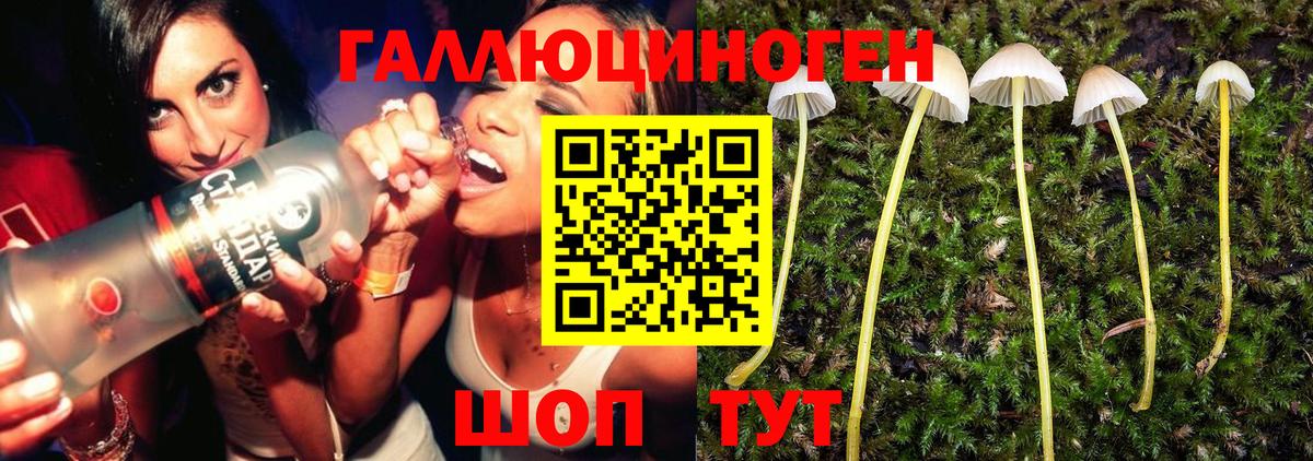 Псилоцибиновые грибы прущие грибы  Вход с VPN  Волгодонск  наркотики  Галлюциногенные грибы Psilocybine cubensis 